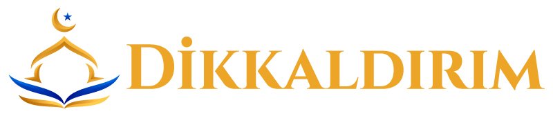 Dikkaldırım - Bağış Sistemi